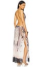 view 3 of 3 Lucia Maxi Dress in Multi