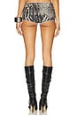 view 4 of 6 Lace Up Short in Zebra