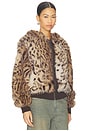 view 3 of 5 Bear Faux Fur Jacket in Leopard