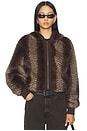 view 1 of 5 Bear Faux Fur Jacket in Striped