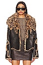 view 1 of 5 Indie Faux Fur Coat in Multi