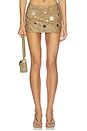 view 1 of 6 Mini Skirt With Mirror Trims in Brown