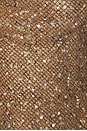 view 6 of 6 Draped Lace Up Corset Top in Sand
