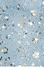 view 6 of 5 Embellished Lace Corset in Blue