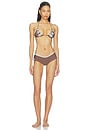 view 4 of 5 BRAGUITA BIKINI MILITARY LAPEL in Brown