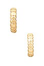view 4 of 9 Apollo Earring Set in Gold
