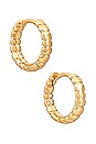 view 5 of 9 Apollo Earring Set in Gold