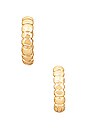 view 7 of 9 Apollo Earring Set in Gold