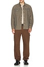 view 4 of 4 Arno Denim Shirt in Beige Tint