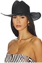 view 1 of 4 Aiden Cowboy Hat in Black