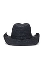 view 2 of 2 Sacha Cowboy Hat in Navy