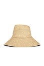 view 4 of 4 Colette Hat in Natural