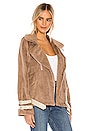 view 3 of 5 CHAQUETA MOTO in Mocha
