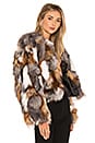 view 2 of 4 Fox Fur Sections Jacket in Natural Multi