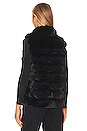 view 5 of 6 Plush Faux Fur Reversible Vest in Black
