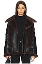 view 1 of 5 MOTO ジャケット in Black & Brown