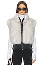 view 1 of 4 Faux Fox Vest in Ivory