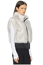 view 2 of 4 Faux Fox Vest in Ivory