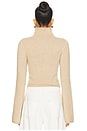view 3 of 4 Jane Roll Neck Sweater in Camel