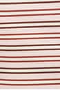 view 5 of 5 T-SHIRT GRAPHIQUE in Blush & Ecru Stripe