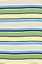 view 5 of 5 The Easy Tee Shirt in Citrus Multi Stripe