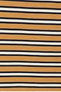 view 5 of 5 The U-Neck Tank Top in Honey & Navy Stripe