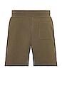view 2 of 4 Crimson Shorts in Olive
