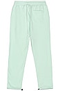 view 3 of 3 Sochi Sweatpants in Mint
