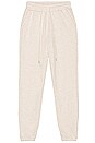 view 2 of 3 LA Sweatpants in Oatmeal Heather