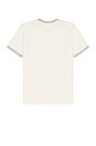 view 2 of 4 Mineral Wash Ringer Tee in Ivory & Mint