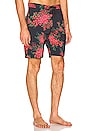 view 2 of 4 Boardshorts in Black Bougainvellea