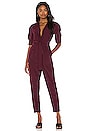 view 1 of 3 Neal Jumpsuit in Deep Wine