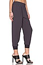 view 2 of 3 Mariner C Pant in Stingray