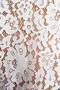 view 5 of 5 Allover Lace Elvia C Top in Porcelain