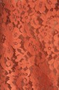 view 5 of 5 Fanny Lace Top in Hot Coral