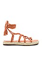 view 1 of 5 Ceasar Sandal in Persimmon