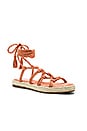 view 2 of 5 Ceasar Sandal in Persimmon