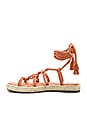 view 5 of 5 Ceasar Sandal in Persimmon