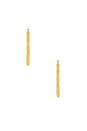 view 2 of 2 Square Bamboo Hoops in Gold