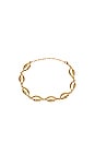 view 1 of 4 Puka Shell Bracelet in Gold