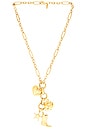 view 1 of 2 Most Wanted Lariat in Gold