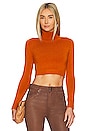 view 1 of 4 Long Sleeve Crop Turtleneck Sweater in Caramel