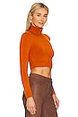 view 2 of 4 Long Sleeve Crop Turtleneck Sweater in Caramel