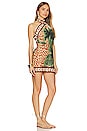 view 2 of 4 Reminders of Paradise Mini Dress in Toile Chocolate & Greenery