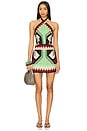 view 1 of 3 Tide Strength Mini Dress in Swim Ayahuasca Green & Black Paprika & Ecru