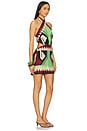 view 2 of 3 Tide Strength Mini Dress in Swim Ayahuasca Green & Black Paprika & Ecru