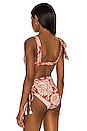 view 3 of 4 TOP BIKINI ORINOCO in Macondo Achiote Red & Antique Ecru