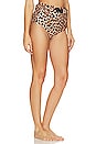 view 2 of 4 UGANDA 비키니 하의 in Leopard