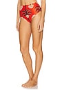 view 2 of 4 Taita Bikini Bottom in Red, Wine & Pink