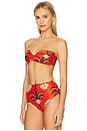 view 2 of 4 Sea Sprite Bikini Top in Red, Wine & Pink